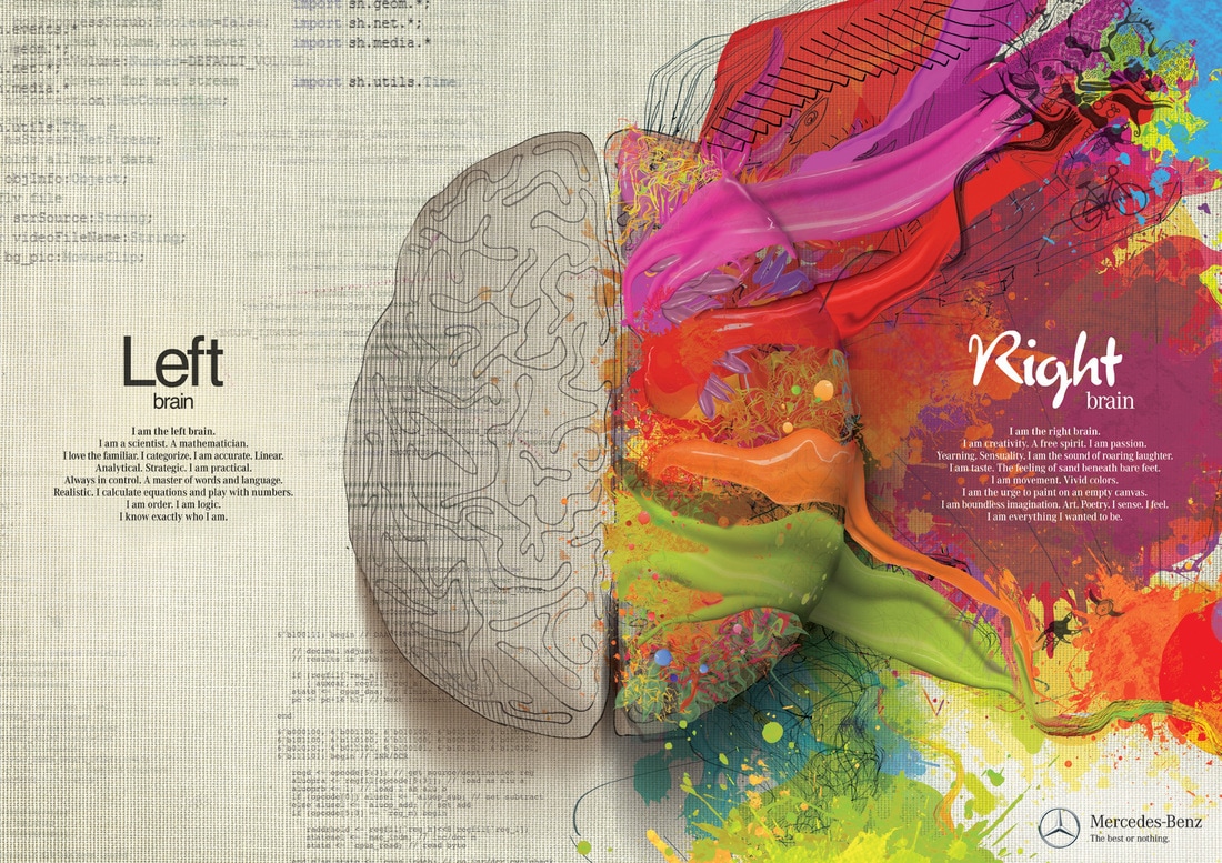 Detailed description of left brain compared to right brain.